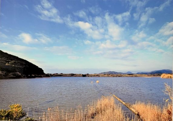 冬賞.jpeg 冬賞.jpeg