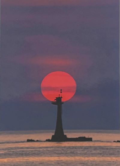 魅力賞.jpeg 魅力賞.jpeg