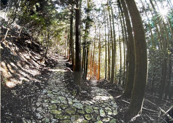 特別賞2.jpeg 特別賞2.jpeg